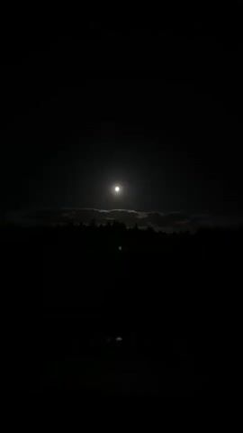 The video captures a nighttime scene. A bright, full moon is prominently featured in the upper center of the frame, partially obscured by thin, wispy clouds. Below the moon, a dark silhouette of a forest or treeline stretches across the horizon. The foreground is almost entirely black, suggesting deep darkness, with a faint, reflective surface visible at the very bottom, possibly water. There are no people or discernible objects in the video, and no actions or interactions are depicted. The environment is clearly dark and natural.
