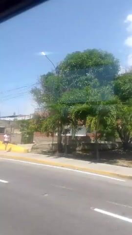 This video appears to be taken from a moving vehicle, likely a car, on a road in La Guaira, Venezuela. The scene is predominantly urban, with buildings visible on a hillside in the background. The weather appears to be sunny with some clouds in the sky. The time of day is likely daytime, given the brightness.

In the foreground, the road has yellow and white markings. A yellow barrier runs alongside the road. There are telephone or power lines stretching across the sky.

On the right side of the road, a person in a light-colored shirt and dark shorts is walking. Further back, there are buildings constructed from brick and concrete. Some appear to be multi-story residential buildings. Trees and vegetation are scattered throughout the scene, particularly on the hillside.

In the distance, a dense collection of homes, many with red-tiled roofs, covers the side of a mountain or large hill. The overall impression is of a somewhat densely populated urban or semi-urban area, possibly a hillside barrio or favela, common in many Venezuelan cities.

There is no discernible text visible in the video. The activity appears to be routine daily life, with a person walking and the general scenery of a town or city. The mood conveyed is neutral, simply documenting the environment.