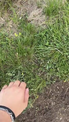 A hand with a silver bracelet is shown interacting with grass and some small yellow flowers. The hand then plucks a small clump of grass. The scene then transitions to a wide shot of a mountainous landscape with a blue sky and white clouds. There is a metal railing in the foreground, and more grass and yellow flowers.