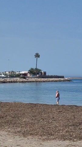 A middle-aged man is walking towards the right of the frame along a beach near the water. He is wearing blue shorts and has his shirt off. The beach he is walking on appears to be covered with a dark, possibly seaweed-like material. In the background is a body of water with a small rocky structure extending into it. There is a building on the structure surrounded by palm trees. The sky is clear and blue.