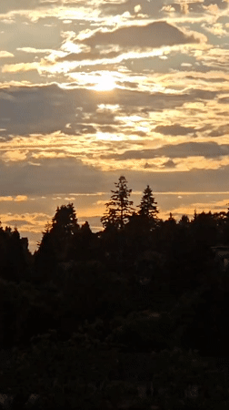 Time-lapse sunset behind a silhouetted treeline in Vancouver