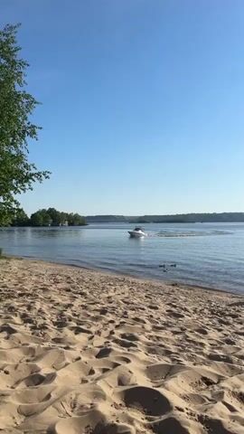 A long shot reveals a sandy beach and an expansive body of water beneath a clear blue sky. The beach is characterized by numerous footprints and marks in the sand. A few ducks are visible at the water's edge. On the water, a motorboat is moving from right to left, creating a visible wake behind it. In the background, a bridge spans the water, connecting the landscape. Lush green trees line the shore on the left of the frame, with a glimpse of an island covered in trees to the left of the motorboat.