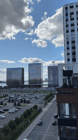 Multiple angles on a modern waterfront city with forest and bridges