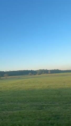 The video shows a vast, green field under a clear blue sky. In the distance, a line of trees forms a dark green border along the horizon. A small, orange hot air balloon is visible floating high in the sky above the treeline, to the left of the frame. The camera appears to be in motion, as indicated by the slight blur of the foreground vegetation and the movement of trees on the left side of the screen. The sun is low in the sky, casting soft light on the landscape. The scene is peaceful and serene.