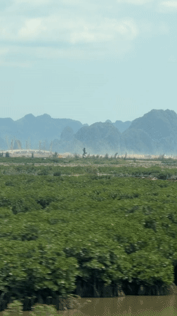 Rural Vietnam landscape shows construction activity amid green fields