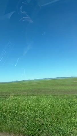 The video shows a view from inside a vehicle, looking out at a wide, green field under a clear blue sky. The camera is positioned to capture both the landscape and the interior of the car, including a reflection on the windshield. The front passenger side mirror is visible on the right side of the frame, reflecting the scene behind the car. The field appears to be a vast expanse of green grass, possibly farmland or a meadow, with rolling hills in the distance. The sunlight is bright, casting a clear and expansive view of the natural environment. There are no people visible in the video.