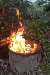 Summer dacha life in Venyukovo: gardens, fires, and small tasks