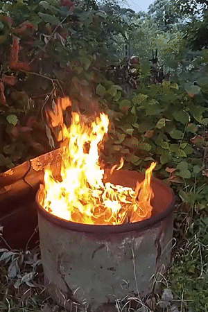 Summer dacha life in Venyukovo: gardens, fires, and small tasks