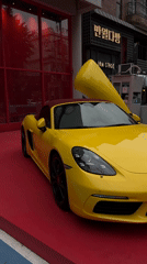 Cat spotted in Seoul storefront displaying yellow sports car