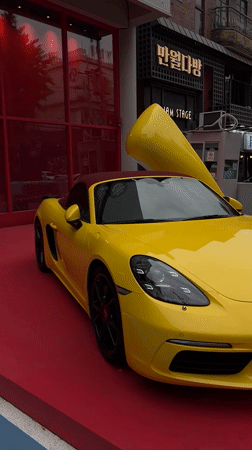 Cat spotted in Seoul storefront displaying yellow sports car