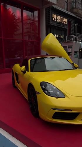 Cat spotted in Seoul storefront displaying yellow sports car