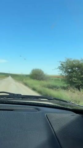 The video shows a car driving down a dirt road on a sunny day. The landscape is dominated by green fields with a patch of red flowers in the distance. There are also power lines visible in the distance. The camera is positioned from the driver's perspective, looking out through the windshield. The wipers are visible but not in use. The dashboard of the car is also in view.