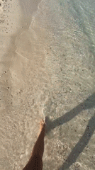 Early morning shell collecting observed on Dubai beach