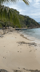 Morning beach scenes documented in Nam Nha Trang Ward