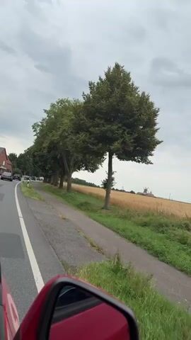 The video shows a view from the passenger seat of a car driving down a rural road lined with trees. A red car mirror is visible in the foreground, reflecting the sky. On the left side of the road, there are houses and more cars driving in the same direction. The road has a white line marking the lane. On the right side of the road, there is a paved path, followed by a grassy area and a field of wheat. There are several tall trees along the roadside. A small, rustic building, possibly a shed or a shelter, with a dark roof and brown walls is situated between two trees. In the distance, there is a windmill visible against the cloudy sky. The video captures the scenery as the car moves forward.