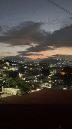 Nighttime scenes in Caracas feature cityscape view and cat