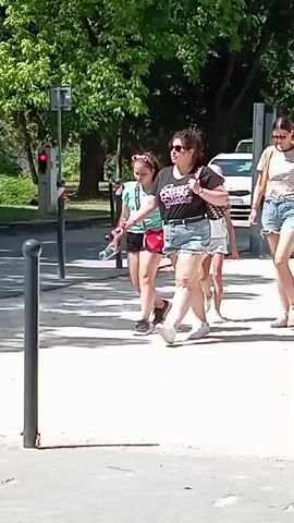 A group of five people, including at least three females and one male, walk across a paved area, possibly a street or crosswalk, on a sunny day. The group consists of two adult females, one taller and wearing a striped shirt and denim shorts, and another shorter and heavier-set, wearing a black t-shirt and denim shorts. There are at least two young females, one wearing a mint green t-shirt and black shorts, and another wearing a pink hat and white t-shirt with shorts. A male in a blue t-shirt is partially visible in the background. The environment appears to be outdoors, with trees and foliage visible behind the people. There are traffic lights and bollards present. The people are walking from left to right across the frame.