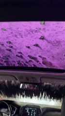 Car wash cycle documented from inside vehicle in Columbus