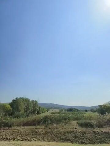 A wide-angle shot captures a serene landscape under a bright, clear blue sky. The scene is dominated by rolling green fields, some appearing to be agricultural land, and a few scattered trees. In the foreground, there's a rougher patch of dry grass and a low fence. The horizon features gentle, tree-covered hills. The sun is high in the sky, casting bright light and creating a generally peaceful, rural atmosphere. The video seems to be shot from a moving vehicle, as evidenced by the subtle, continuous side-to-side movement and slight shifts in perspective of the landscape. There are no people or animals visible in the frame.