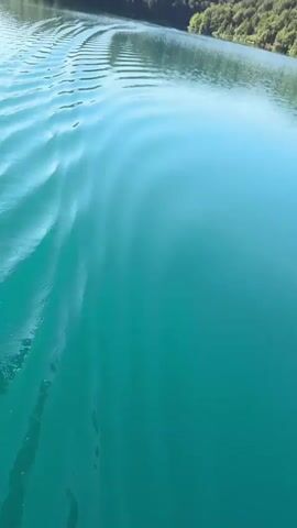 The video shows a body of water with a clear blue sky above. Trees line the far bank of the water. In the foreground, there are ripples on the water's surface. A portion of a wooden structure with a roof can be seen on the left side of the frame in the first few seconds of the video. The camera appears to be moving through the water, creating the ripples. The overall scene depicts a serene, natural environment, possibly a lake or a calm river.