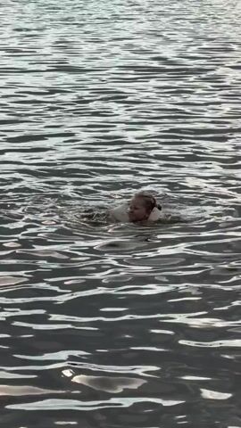 A child is swimming in a body of water. The child appears to be a young girl with blonde hair. She is moving her arms and legs as she swims. The water is dark and choppy, with ripples and waves. The lighting suggests it is either early morning or late evening. The child is looking towards the camera and smiling.