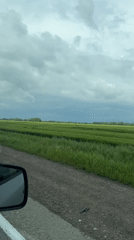 Rural drive captured near Novomyshastovskaya shows green fields