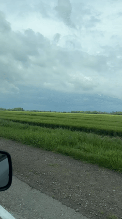 Rural drive captured near Novomyshastovskaya shows green fields