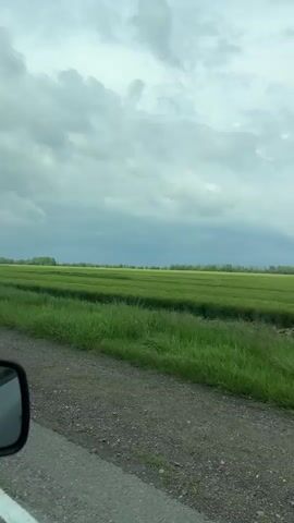 The video shows a view from a car driving alongside a green field under a cloudy sky. The field stretches to the horizon, with a thin line of trees in the distance. The road is partially paved with a dirt shoulder and a painted white line. The car's side mirror is visible in the lower-left corner of the frame.