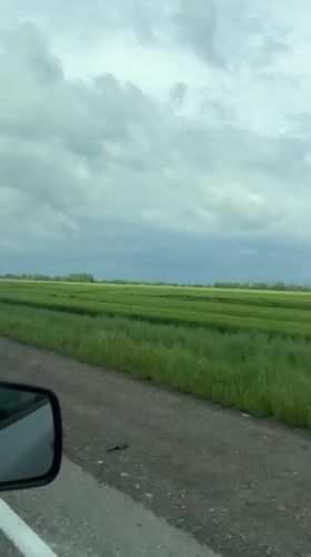 Rural drive captured near Novomyshastovskaya shows green fields