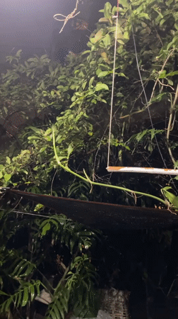 Rainstorm documented across multiple locations in Davao City, Philippines
