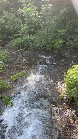 The video shows a small stream flowing rapidly through a green, overgrown environment. The water is clear and turbulent, creating white foam as it rushes over rocks. Lush green foliage lines both sides of the stream, with sunlight dappling through the leaves.