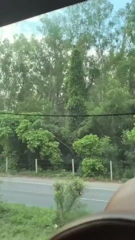 A video shot from inside a vehicle looking out a window shows a roadside scene with trees and a truck. A white truck with red and yellow stripes and text that reads "Sai Transport" and "the Moto Express" is visible on the right side of the road. A small silver car is seen driving on the left side of the road, passing the truck. A blue sign is partially visible on the left side of the road with some text. The background consists of lush green trees and foliage, with a cloudy sky visible above. The foreground shows a blurred view of what appears to be the interior of the vehicle, possibly the dashboard or seats. The overall scene depicts a highway or road in a rural or semi-rural area.