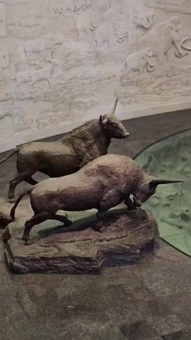 The video pans across a diorama displaying sculptures of prehistoric mammals. In the foreground, two bull-like creatures with single horns stand on a rocky base. Behind them, a group of woolly mammoths are depicted, with two large ones prominently featured. Smaller rhinoceros-like creatures are also visible further in the background. The diorama is set within what appears to be a museum or exhibition space, with a textured wall featuring reliefs of ancient animals in the background. Two individuals are present, one standing near the mammoths and another taking a photograph. The diorama is surrounded by a circular glass or transparent surface with a green, textured base.