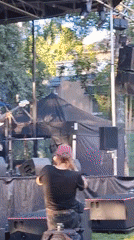 Live band plays outdoor summer concert in Tuusula, Finland