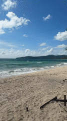Sunny morning at a Choeng Thale beach with driftwood and swimmers