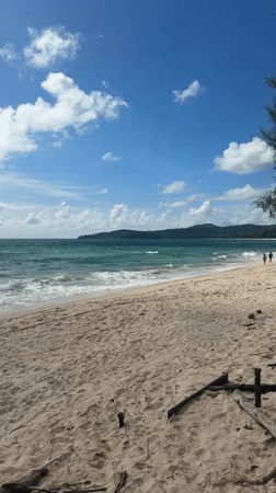 Sunny morning on a Choeng Thale beach, driftwood and swimmers