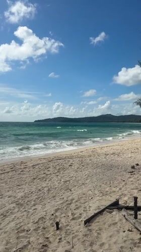 Sunny morning at a Choeng Thale beach with driftwood and swimmers