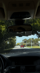 Driver's view of tree-lined road in Key Biscayne