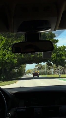 The view from inside a moving car shows a road ahead on a bright day. Two lanes travel in each direction, divided by a painted strip. Green trees and some palm trees are along each side of the road. Two speed limit signs are on each side of the road. The speed limit is 40. A red car is driving ahead in the same lane. Another white car is visible further ahead. A road sign shows a person walking with an arrow on each side. A series of lamp posts are on each side of the road. A rear-view mirror hangs in front of the driver.
