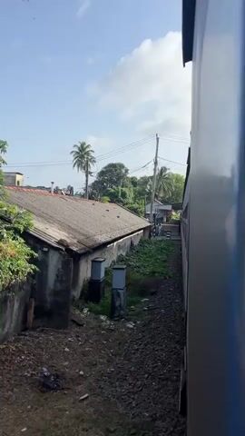 The video shows a view from a moving train. On the left, there is a low-rise building with a corrugated roof, followed by a track area overgrown with lush green vegetation and some debris. Further back, palm trees and other foliage are visible under a blue sky with scattered clouds. On the right side of the frame, the side of the train car is visible, a metallic blue. As the train moves, a train station platform comes into view. The platform has a covered roof supported by blue pillars, and several flags or banners are hanging from the roof. People can be seen on the platform, and a few motorcycles are parked nearby. The train continues to move past the station.