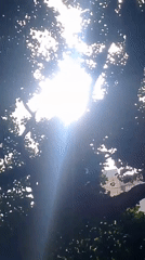 Sunny afternoon scenes captured across Caracas neighborhoods