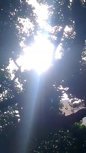 Sunny afternoon scenes captured across Caracas neighborhoods
