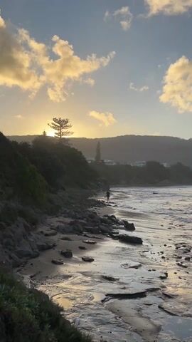 The video shows a rocky beach on a cloudy day. The sun is setting behind a tree on a small hill, casting a golden light on the sand and the water. In the distance, there is a mountain range. A person is walking along the beach carrying a surfboard. The waves are small, but visible. The sky is blue with scattered white and grey clouds. In the distance, several surfers can be seen riding waves. The camera pans from left to right, showing more of the beach and the waves.