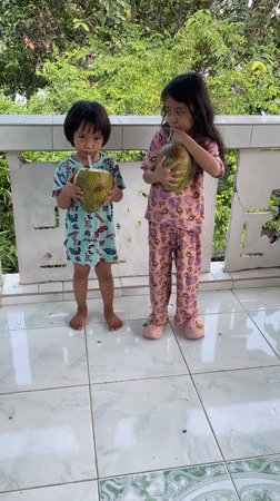Children enjoy fresh coconuts in Kiblawan, Philippines morning scenes
