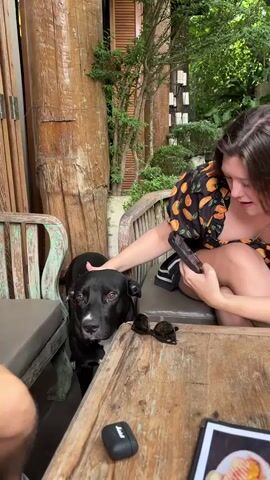 A black dog with a white chest marking stands near a wooden table, looking toward the camera. A person with dark hair, wearing a black and orange floral print top, is seated on a wooden bench behind the dog. The person is petting the dog with their right hand and holding a smartphone in their left hand. A pair of dark sunglasses rests on the table. The scene appears to be outdoors, with wooden furniture and greenery in the background.