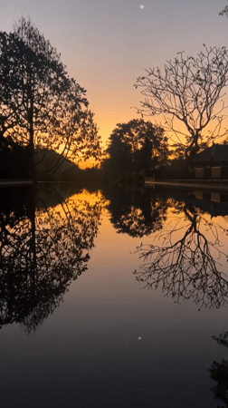 Barong ceremonies and golden hour scenes in Kediri, Bali