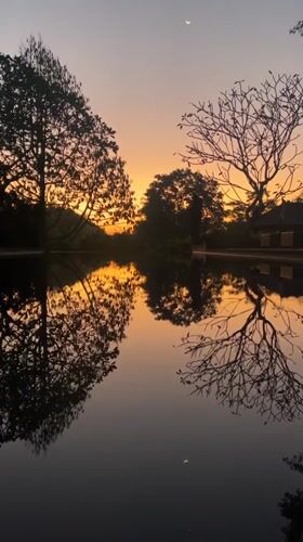 Barong ceremonies and golden hour scenes in Kediri, Bali
