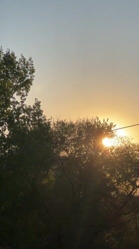 Evening sunset and birds observed in Biysk, Russia