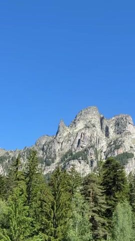 The video shows a mountainous landscape under a clear blue sky. In the foreground, there are several tall green pine trees, some of which appear to be younger saplings closer to the bottom of the frame. Behind the trees, a large, rocky mountain massif rises steeply. The mountain is characterized by rugged cliffs, sharp peaks, and patches of vegetation, including more trees clinging to its slopes. The sky is a vibrant blue with a few wispy white clouds visible in the upper right portion of the frame. A thin, dark horizontal line, possibly a cable or wire, is visible across the sky in the upper third of the image, stretching from left to right. The overall impression is of a natural, rugged alpine environment bathed in sunlight. There are no people or animals visible in the video. The camera appears to be stationary, observing the unchanging scene.
