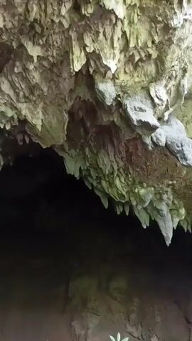 The video shows a close-up, panning shot of the ceiling of a cave. Numerous stalactites hang from the cave roof, some appearing wet and dripping. The cave is dark, with the camera light illuminating the textured rock formations. The camera moves slowly, offering a view of the cave's interior as it progresses.